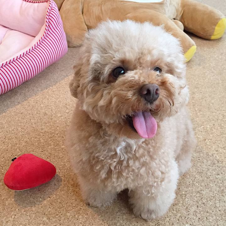 E807df64 ea31 4643 a3ab 269a3e786004