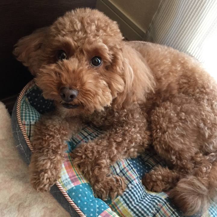 E807ef7e 957d 493c add8 29ab51ba79e9