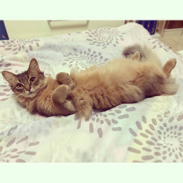 E80931ff 91a8 4a19 ba77 3688b063a46a