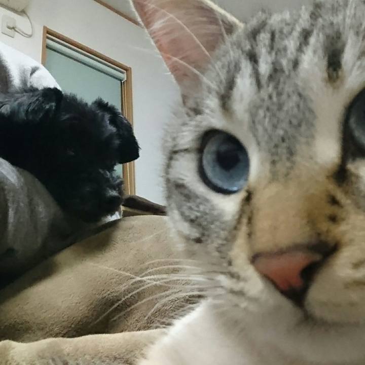 E8097a02 180f 4d06 978b ac499cede594