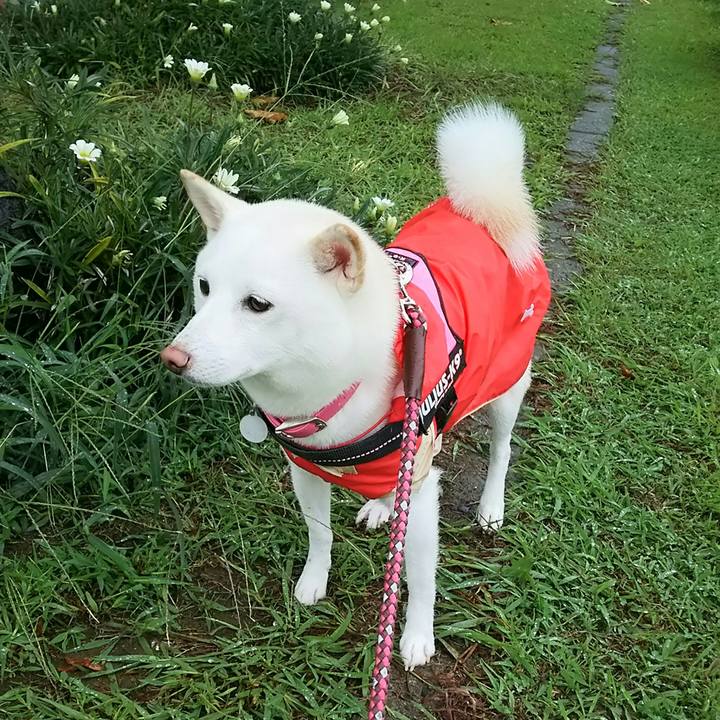 E80a3c76 a326 4148 acc3 403bb7caccd2