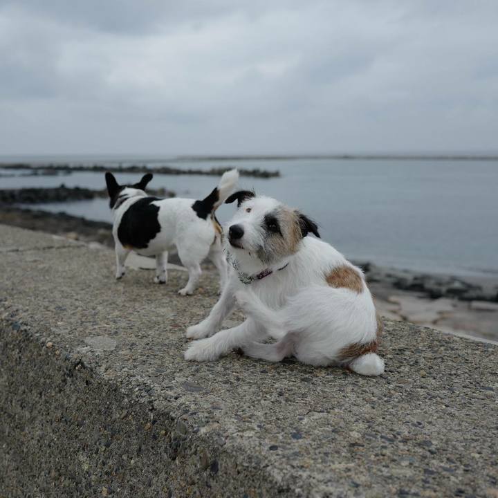 E80af807 dea3 4ea7 9449 2b4b810f3c17