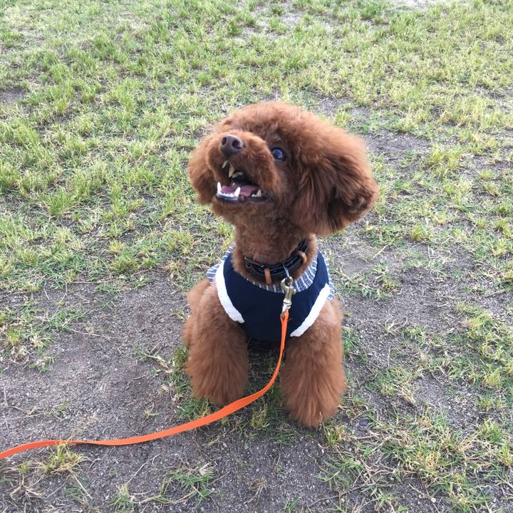 E80b2b64 da31 42d9 9b32 b401cfe1a4c5