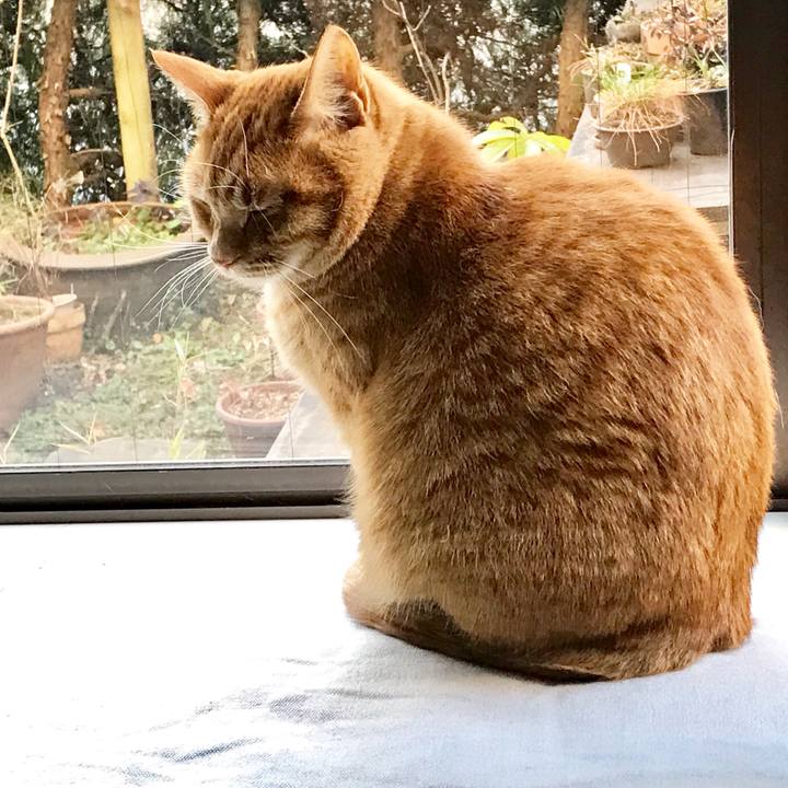 E80c4a7d a3c3 40f2 a191 19d308d6fdd6