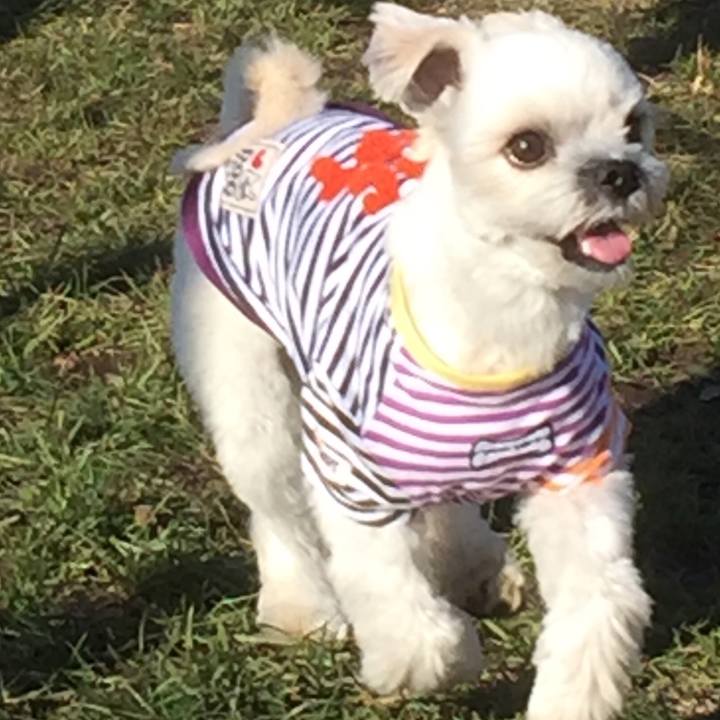 E80c88ce df1d 4425 b41c 77e5117bd44b