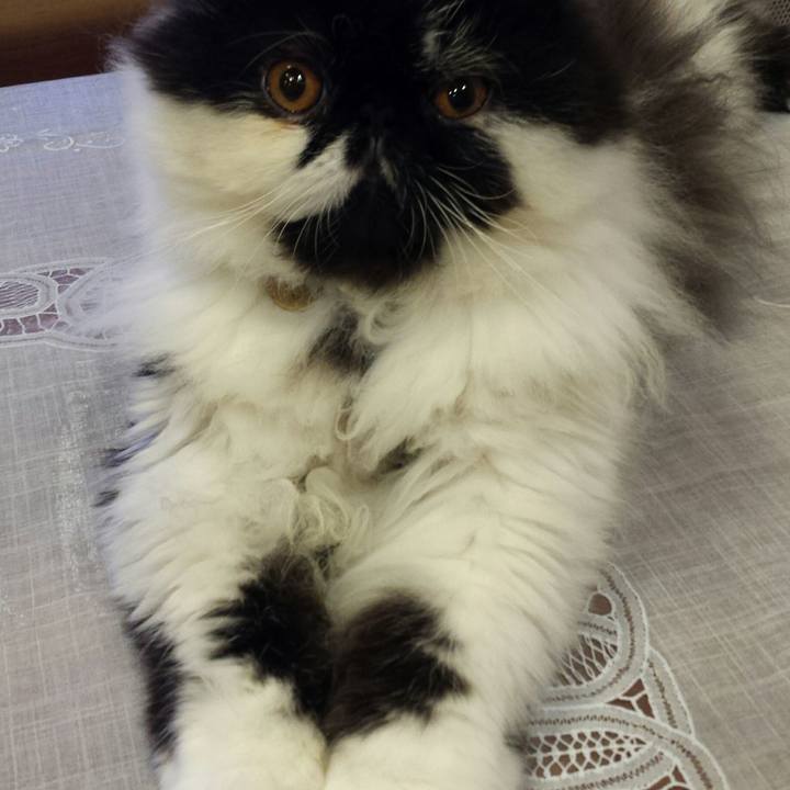 E80cc30e dbf3 4b2e ba39 066fc0cfee2c