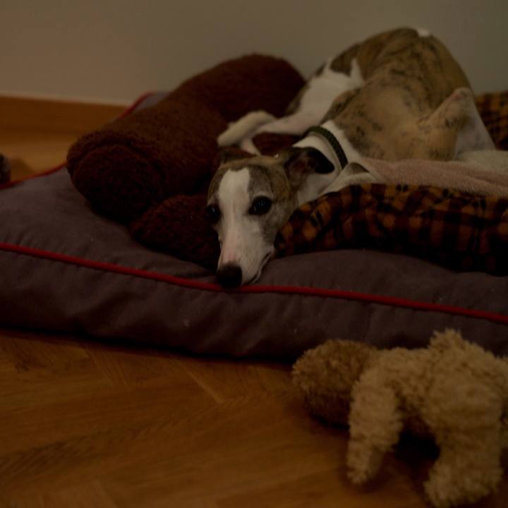 E80cc5d0 5c42 45f0 8bcd a8a862afccc0