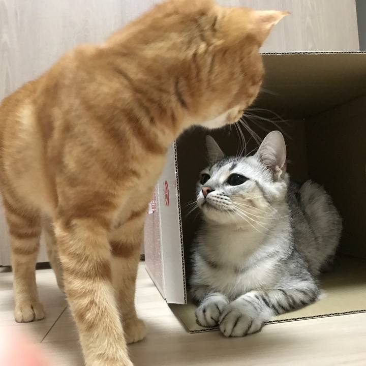 E80dc490 660b 4725 80b2 0b9f5d445acd