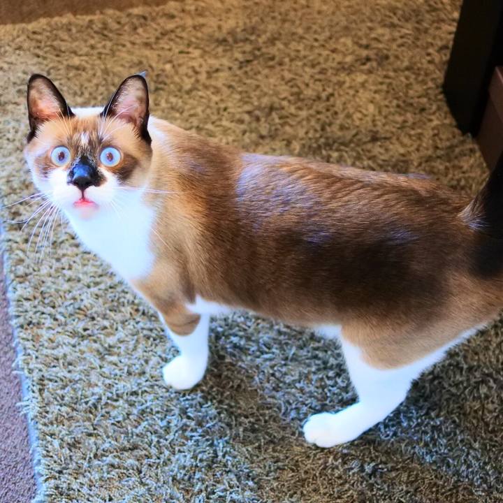 E80e1862 6117 48e9 b6ed 27752c28cf40