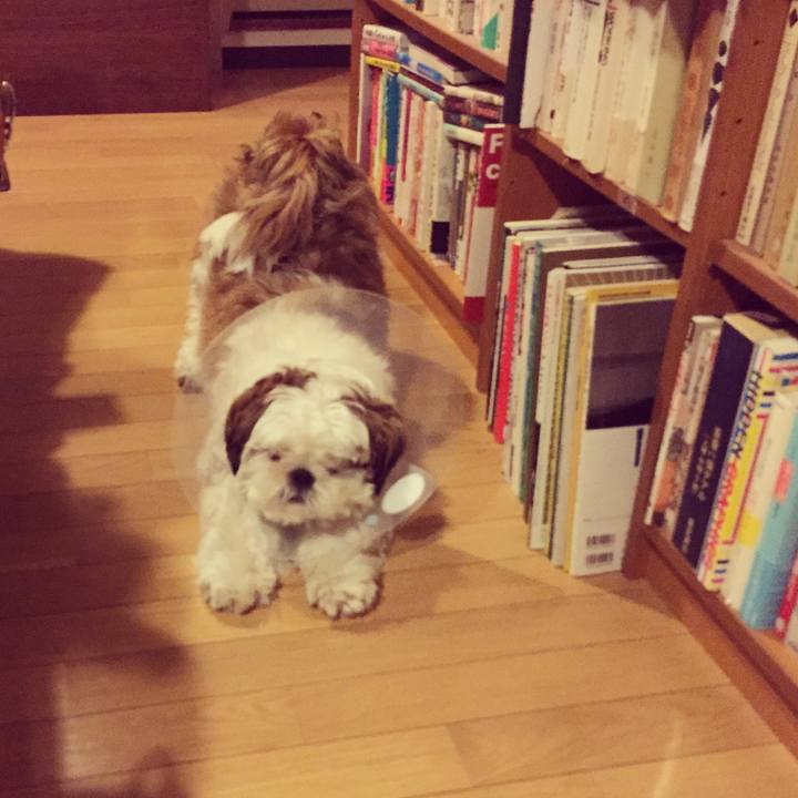 E80e28bf b2cf 4ff9 89d7 d8bf30d398e8