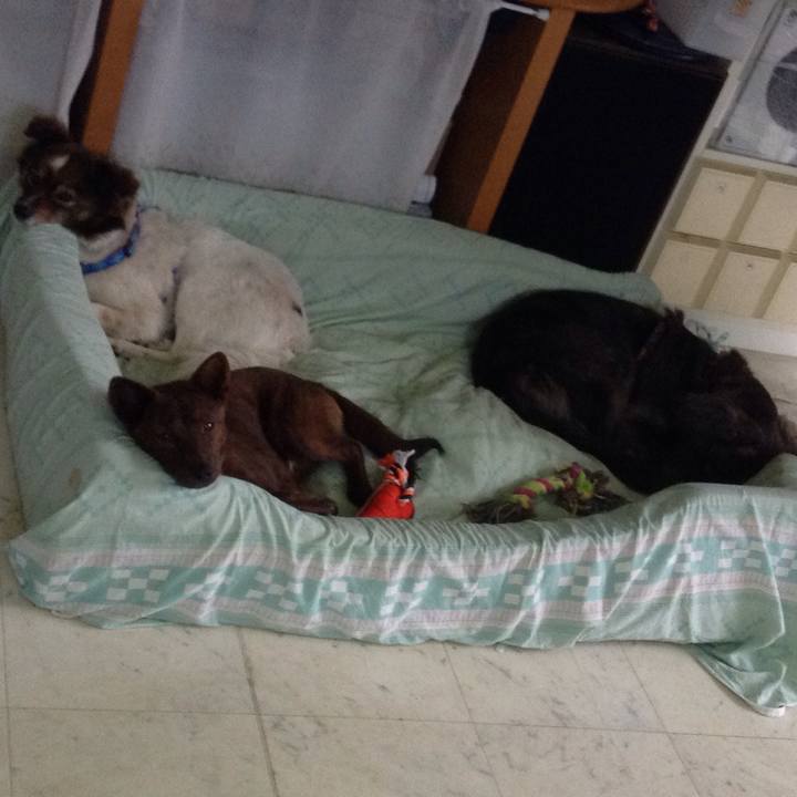 E80ee206 0a3b 452d 9275 ddbed65fe4d4