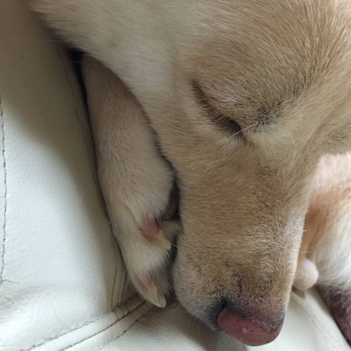 E80f402e 1568 4dab 83af ac37767aa401