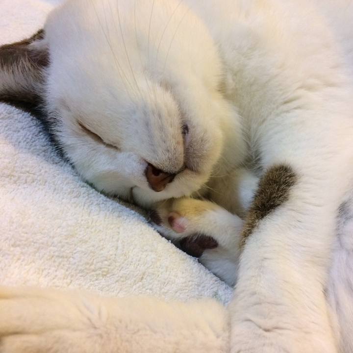 E80fa592 a770 4826 b6af 6ee02ce8c403