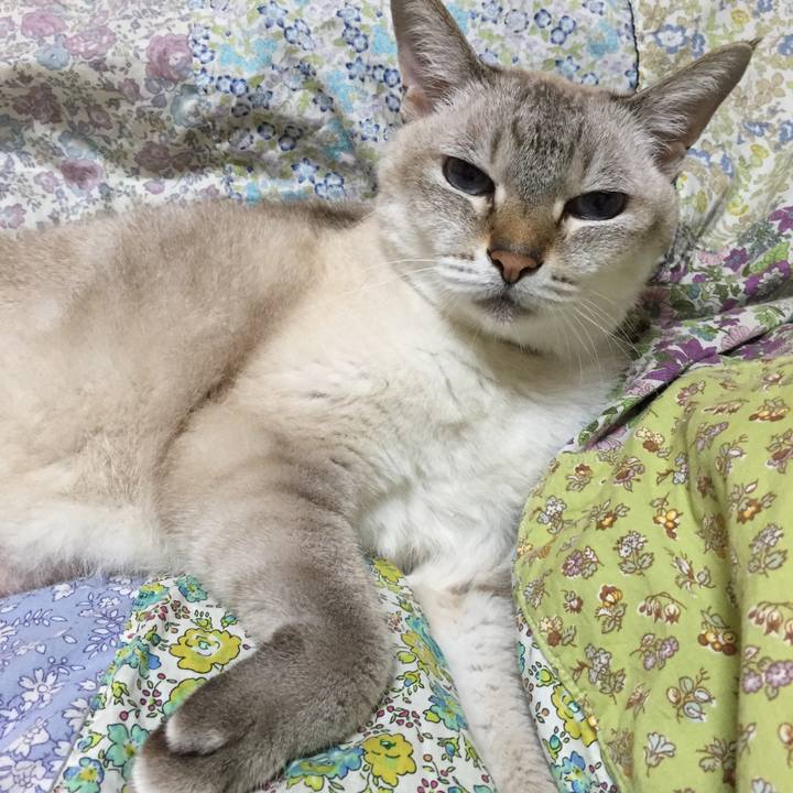 E81073d4 bc61 4040 8e1b c3959c709416