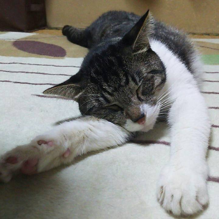 E810fa04 fbcb 44a9 8388 08c6c87b6526