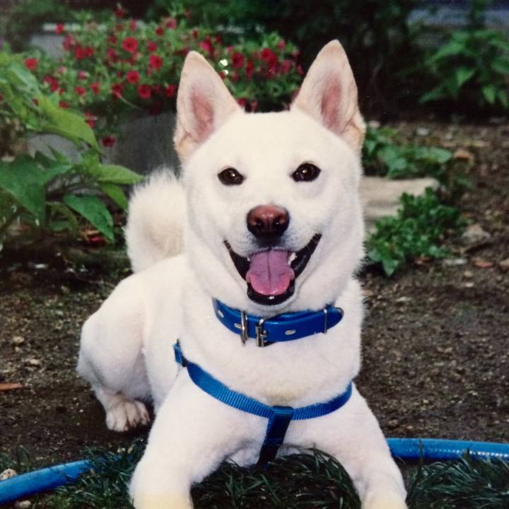 E811e66b 06cc 4c60 a86b 5504b7d83a0a