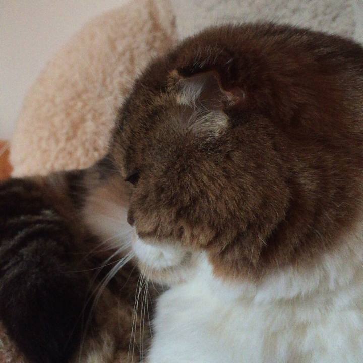 E812b9f8 f187 4648 a3b1 ab0a7b351fe2