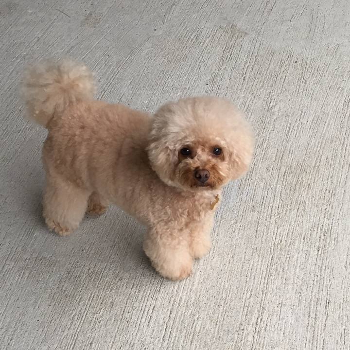 E812dbc5 5a6d 4a6b 81f8 130e8e171c61