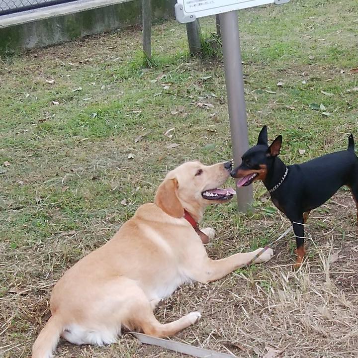 E8137e54 a471 41d8 a9de 41027ff77bab