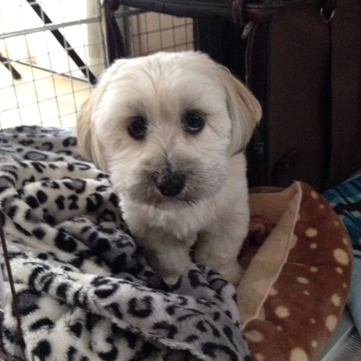 E8146815 ef7b 4b64 a396 e7d47dbd8ffe