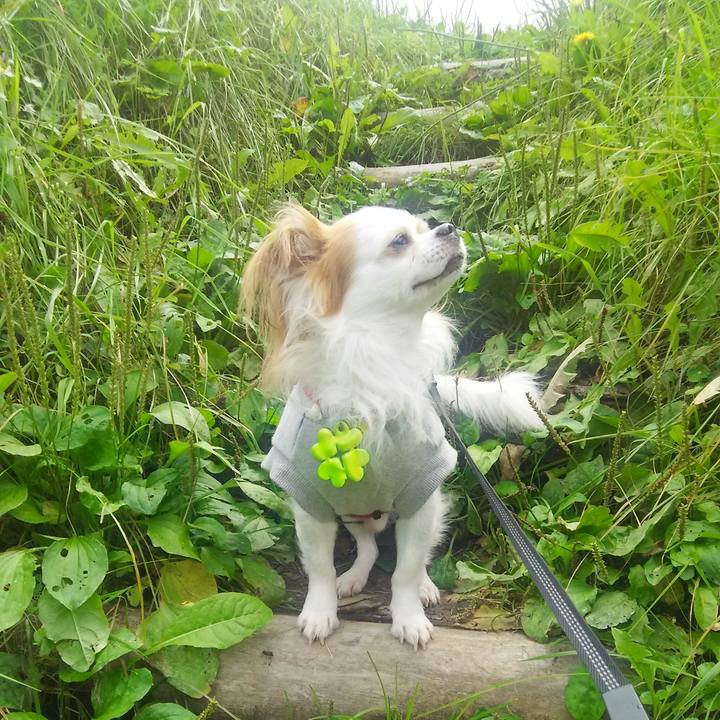 E814907b c31e 40c6 8f51 a7f015d0ae86