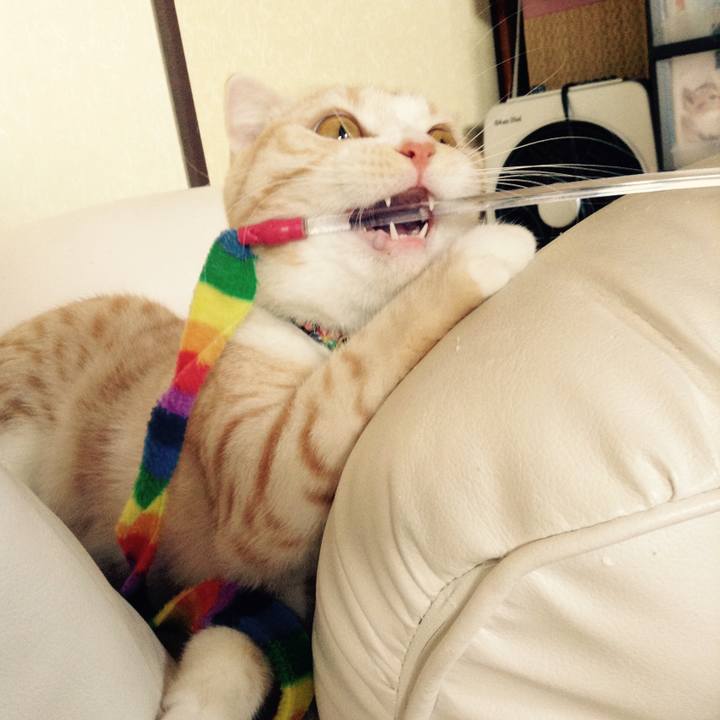 E814a528 5166 4b3c 8684 7ed633607f94