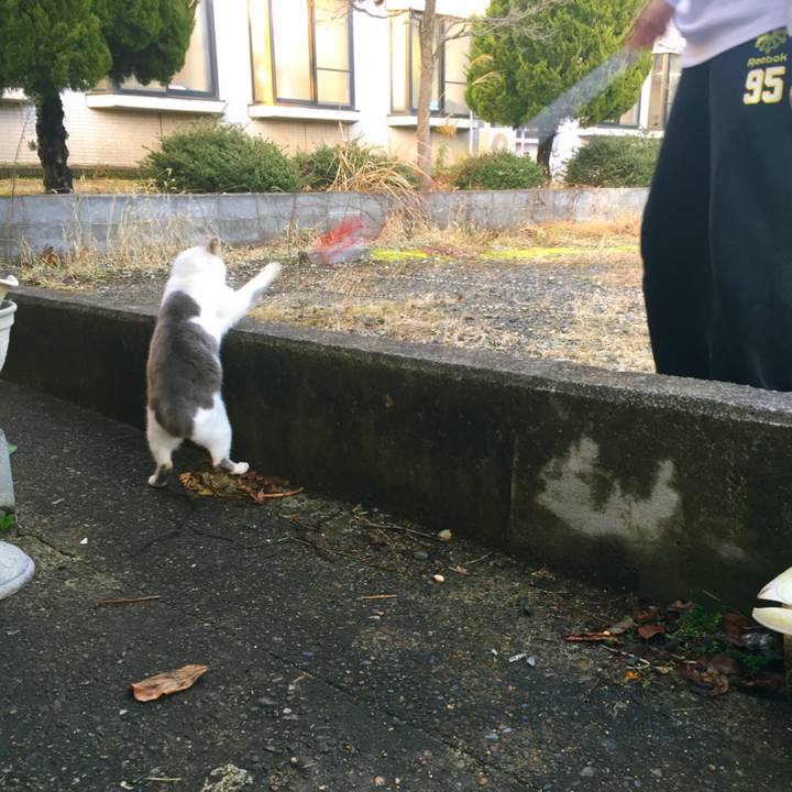 E814b22d 5a2d 4877 a285 4b15efe30ec9