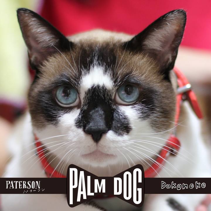 E814e266 ce6f 492d b8f4 50ac92b565a6