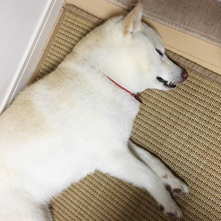 E8152a9b 87de 4fd9 b91e 682d575dd932