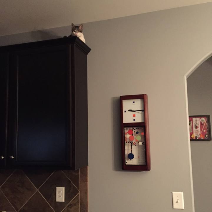 E8158b0f 4938 4fbb 8480 986aaf892dac