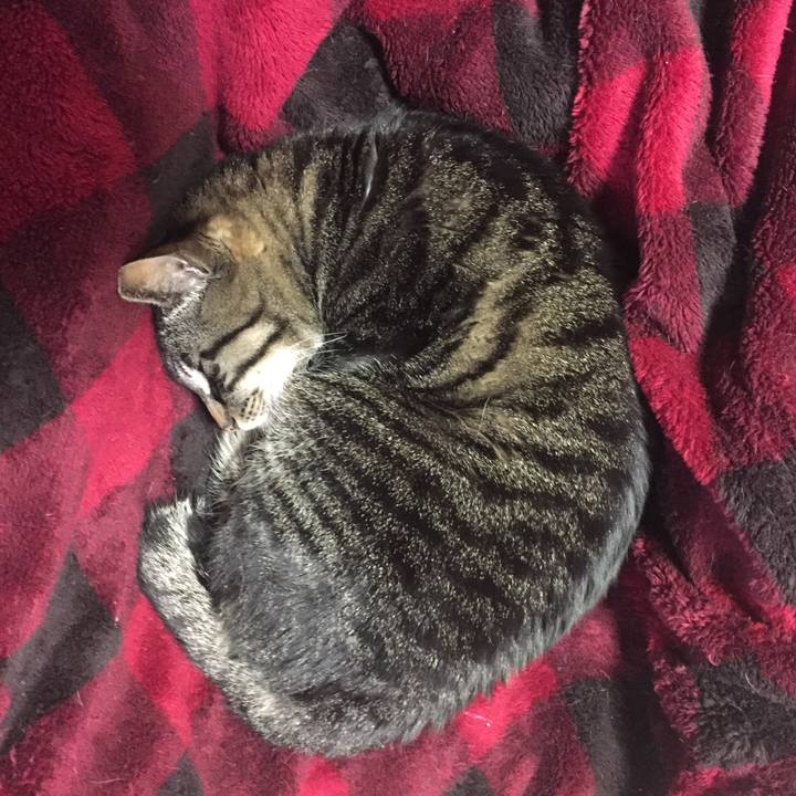 E815c630 ebef 4df2 aff6 a36ce3d7cf0a