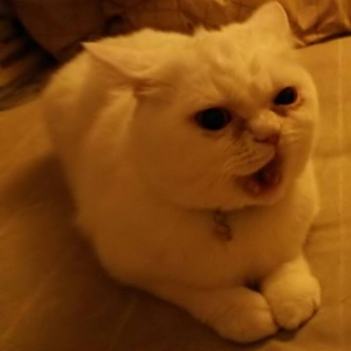 E815d759 2339 42c5 9cad bdc749d0ff27