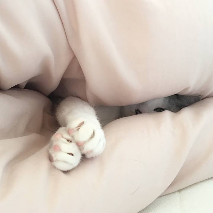 E815de77 5173 4877 bbfb a62b62e28fea