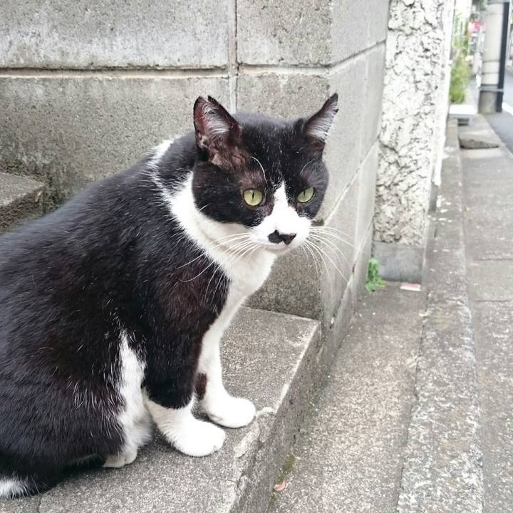 E8161b8f b3c5 4942 bf11 cb72b56690b4