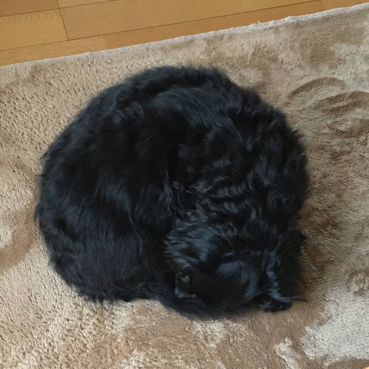 E816322a e0fb 4cd1 8dcb 9d65c12c690c