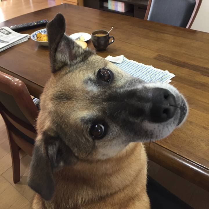 E8163be4 ad11 4974 a56e 29e8259d0274