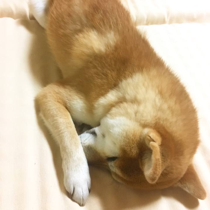 E816479d 09ba 4ab3 991c 7e6f4bf847e0