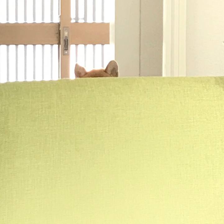 E8165346 21f4 4bbf b39a 184ec31f8bb3