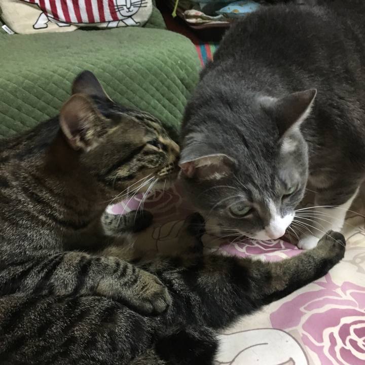 E8175fb3 34dc 4a51 9eb3 4c40a3e9cc0e