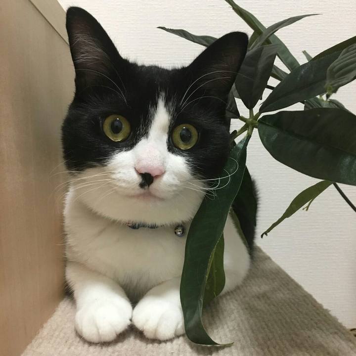 E8186125 f206 4d34 b57d b9187698122c