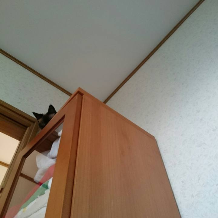 E818a18e 65d4 404c b6a8 07d58ee8f89f