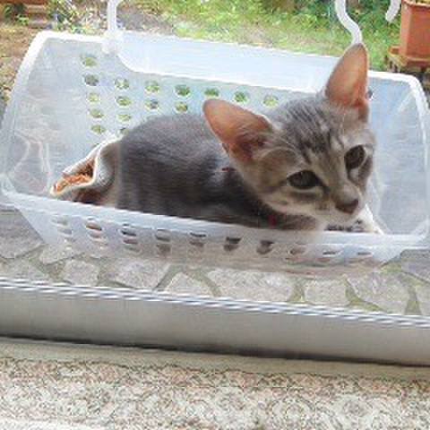 E819c11a 574f 4858 bd96 805699758d43