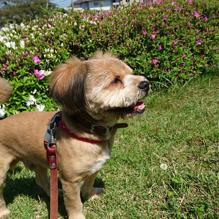 E81a3d33 c298 4fd7 8cd0 c5ccda775fa9