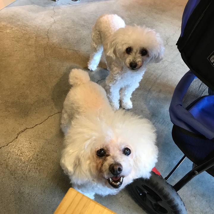 E81a4c26 c7bc 4ff0 b4ff 440bb7248d9a