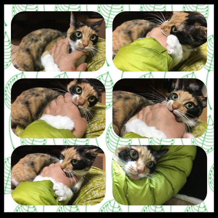 E81ad4b7 f50d 4152 8bf1 7e0b8168b01e