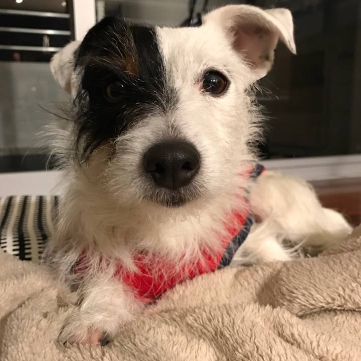 E81b2d85 35e3 4487 b6b8 4b0a16fb302b