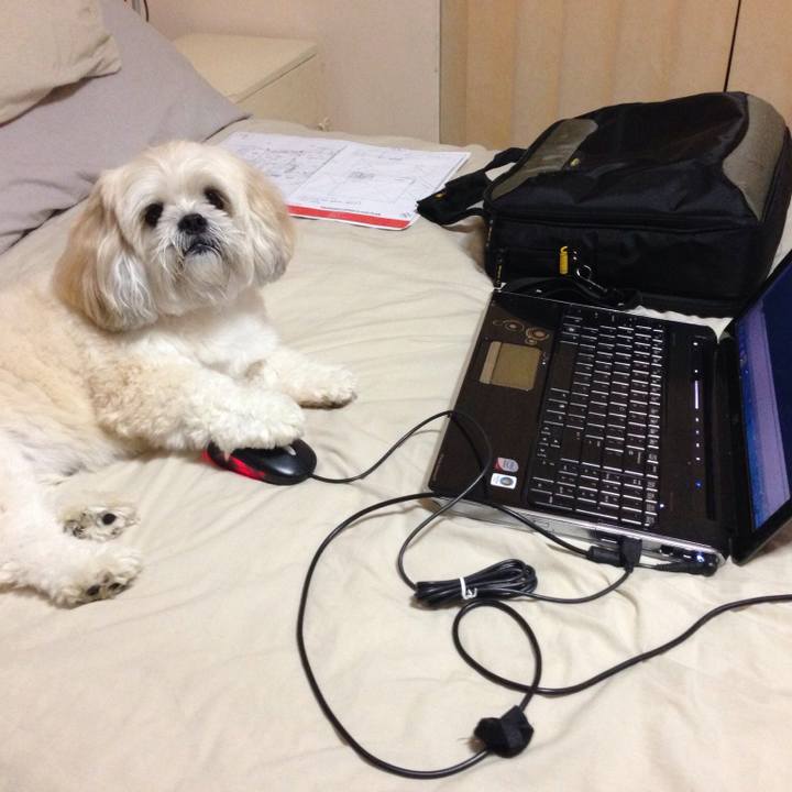 E81b65e6 3158 4bcb ae3f 59eb707bab2d