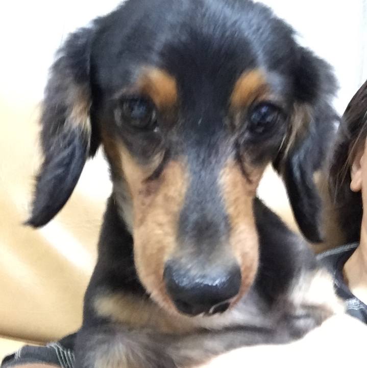 E81ba785 ee4c 44b6 a955 23253604618e