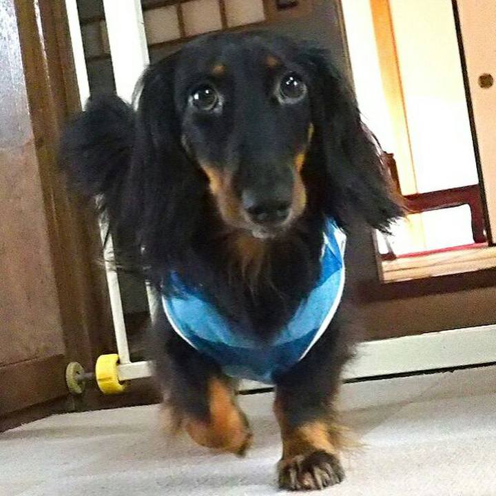 E81c3871 2bd1 4e19 b92b 0362618bb495