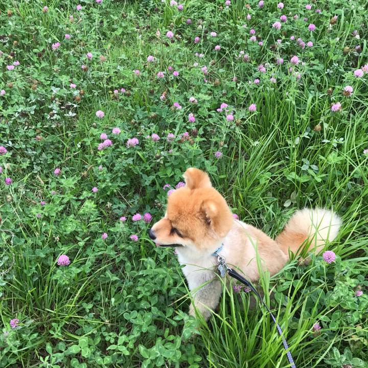 E81c3b6e 5b8f 40cb 8048 16e51d86ad2a